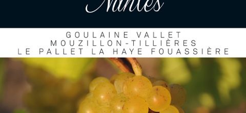 Les Crus de Nantes : 4 bientôt officialisés !