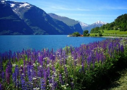 norvege-muscadet-goulaine