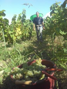 Cru Goulaine Domaine de la Foliette
